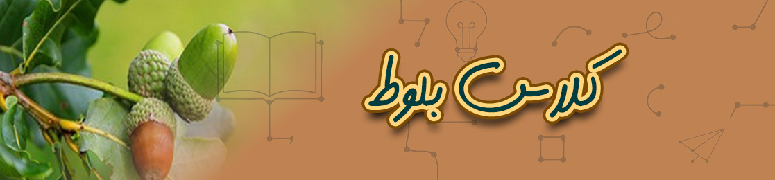 کلاس بلوط